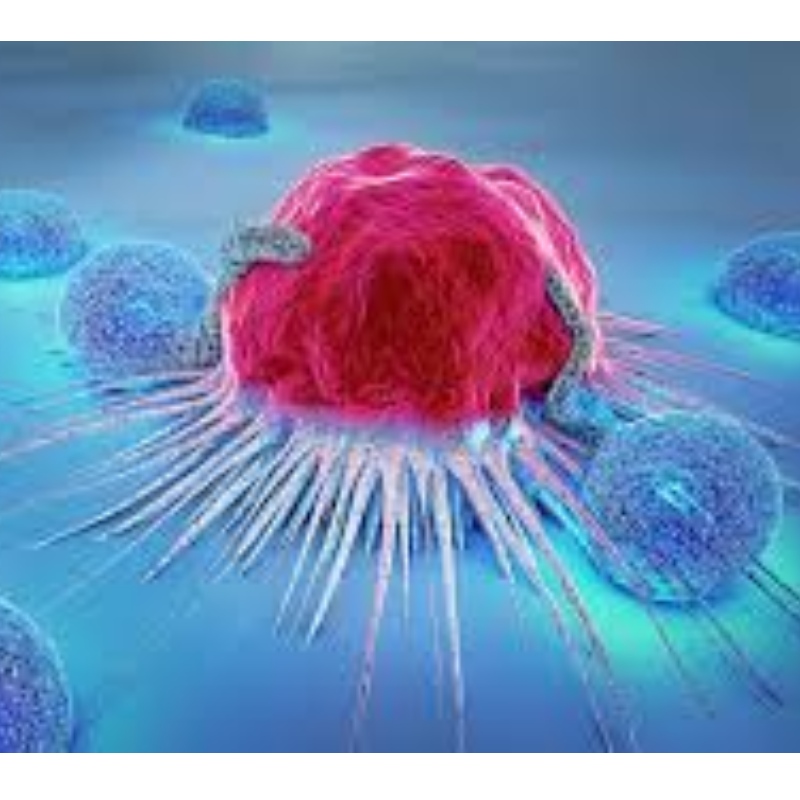 Japan: NMN modstår immuncelle senescens og hæmmer 71,4% tumorvækst